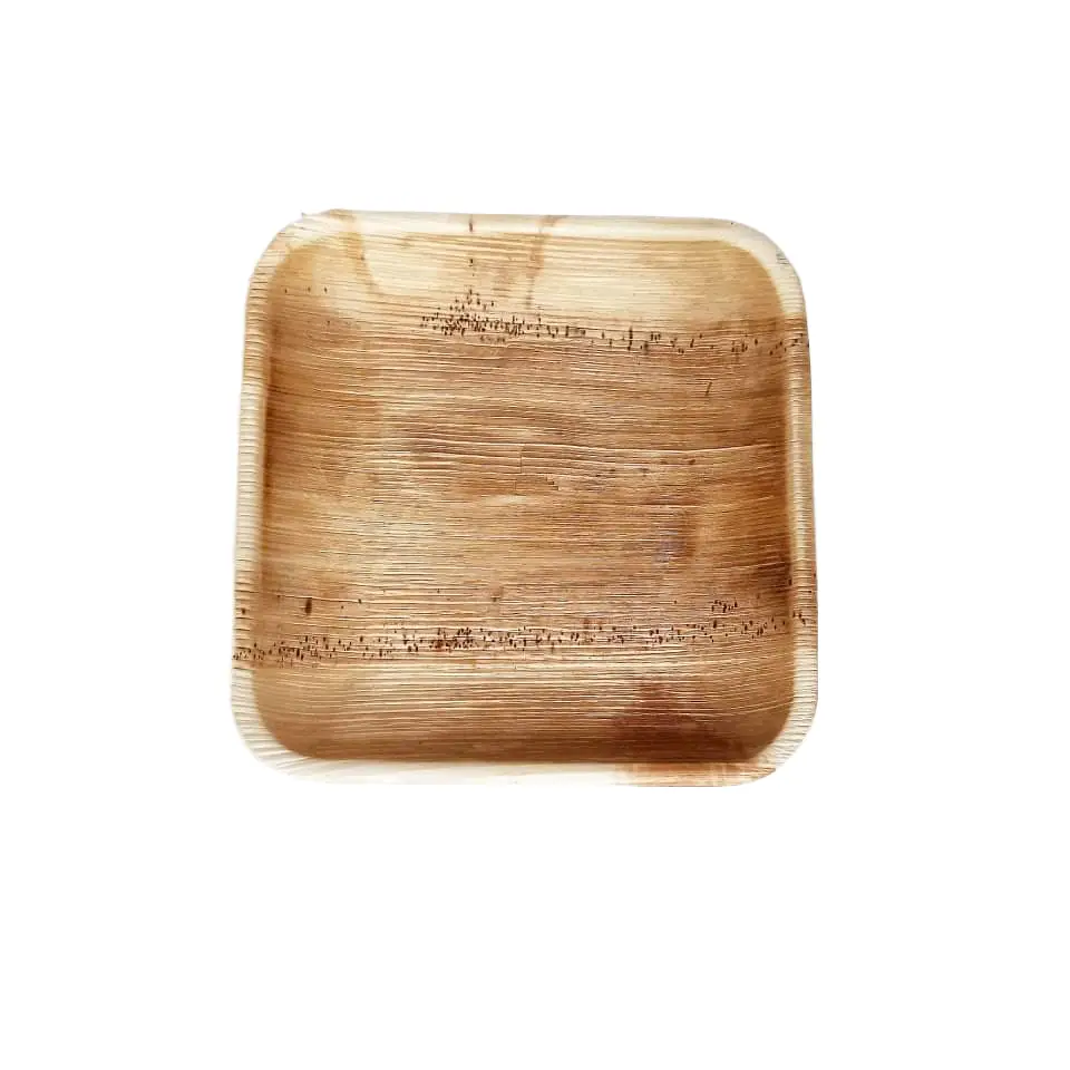 Eco Friendly Areca Leaf Dish| Arecanut Leaf Plate| Biodegradable Lunch Plate - Image 4