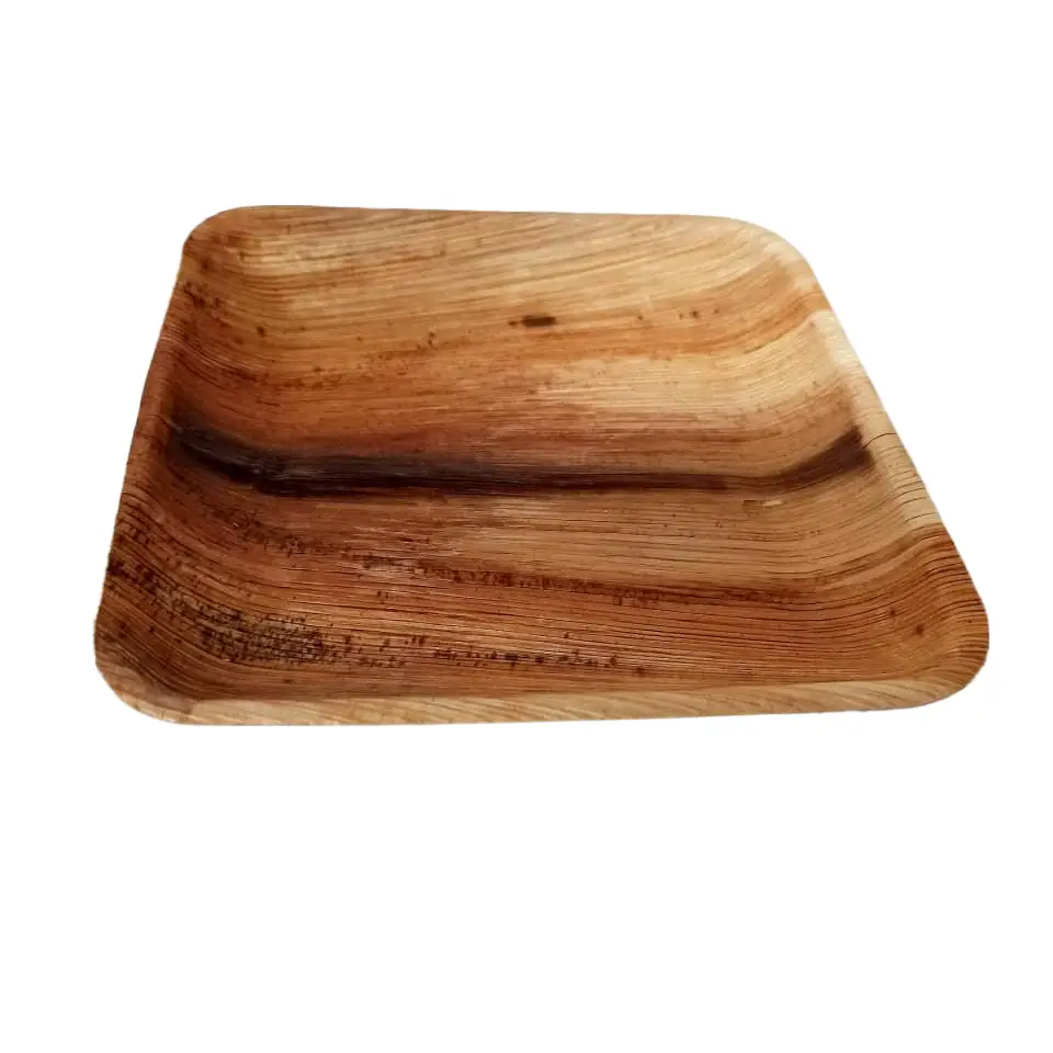 Eco Friendly Areca Leaf Dish| Arecanut Leaf Plate| Biodegradable Lunch Plate