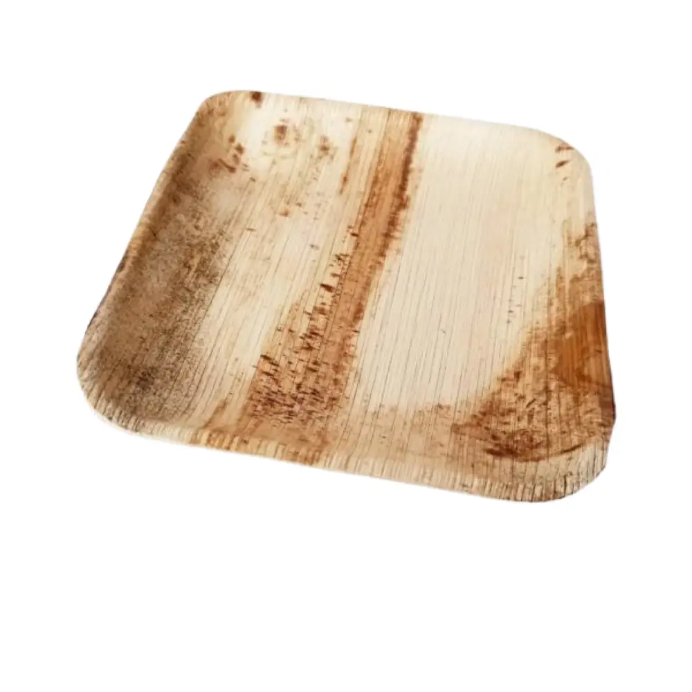 Eco Friendly Areca Leaf Dish| Arecanut Leaf Plate| Biodegradable Lunch Plate - Image 3