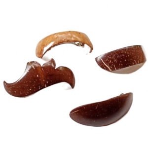 Eco Friendly Coconut Shell Butterfly Clip| Sustainable Hair Clip